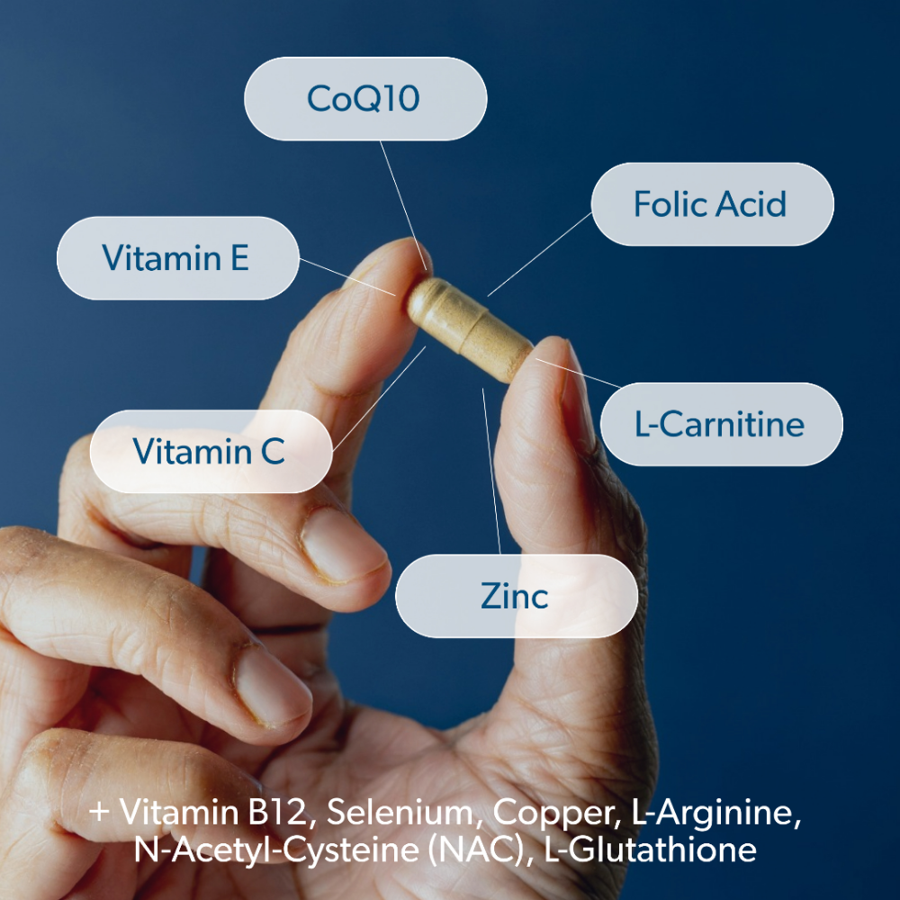 SWMR Fertility Daily Supplement